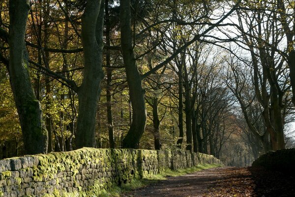 Aime l automne pour ses paysages chauds