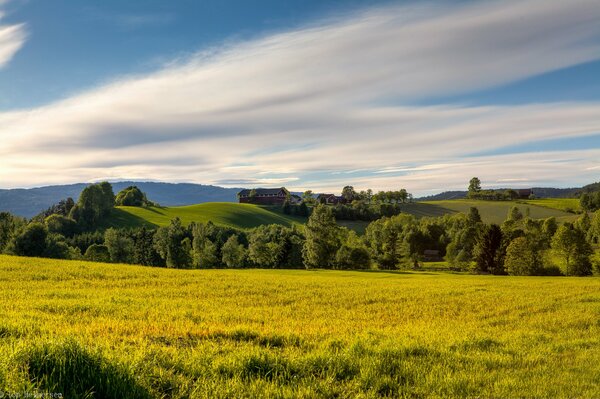 Campo estivo con cielo sereno