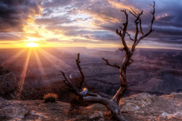 Foto del Grand Canyon al tramonto