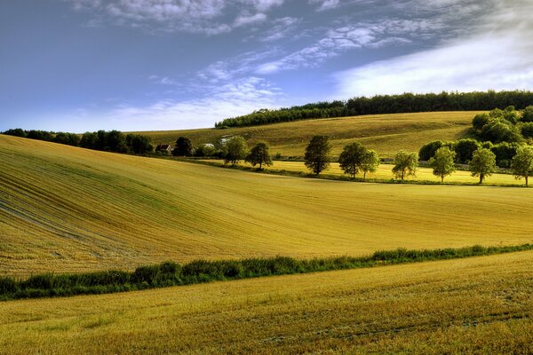 Summer after on a clear day