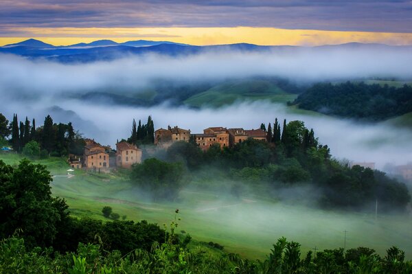 Houses and trees in the morning fog