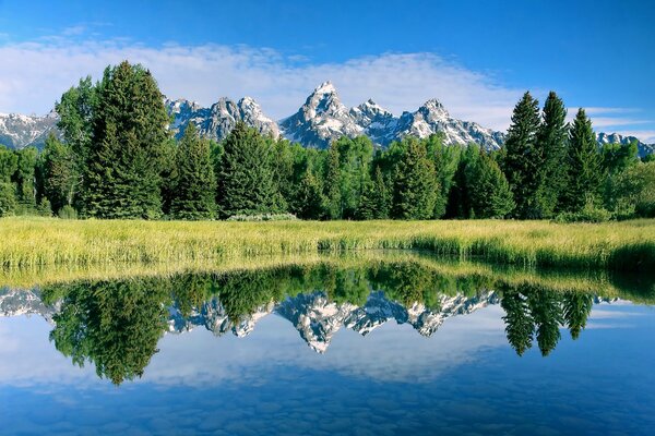 Riflessione della foresta e delle montagne nel lago più puro