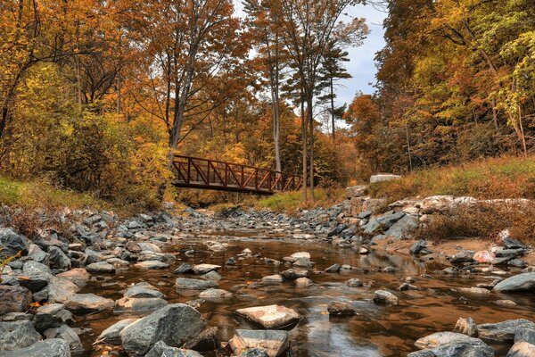 Golden Autumn Park in canada