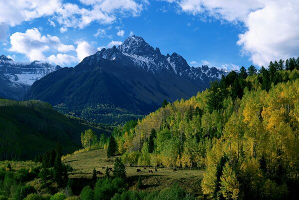 Mountains and trees under a cloudy sky