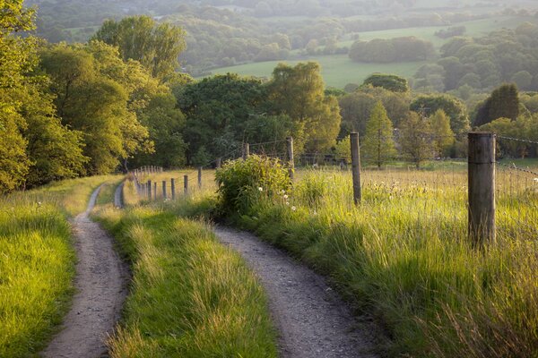 Paysage de la route dans le village