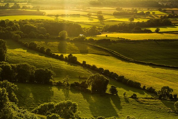 The magical nature of England in the sunlight