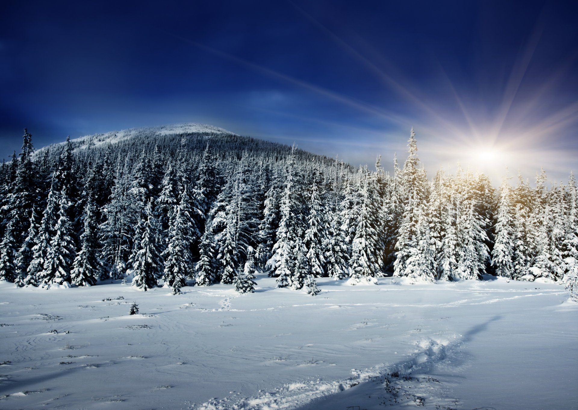 hiver forêt soleil rayons neige colline ombre