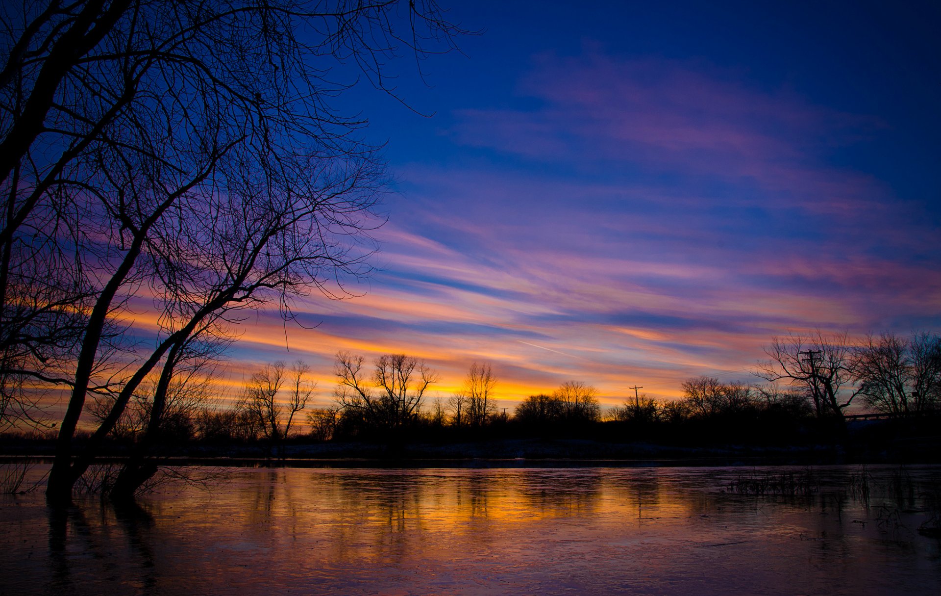 stati uniti illinois lago alberi sera tramonto. cielo nuvole