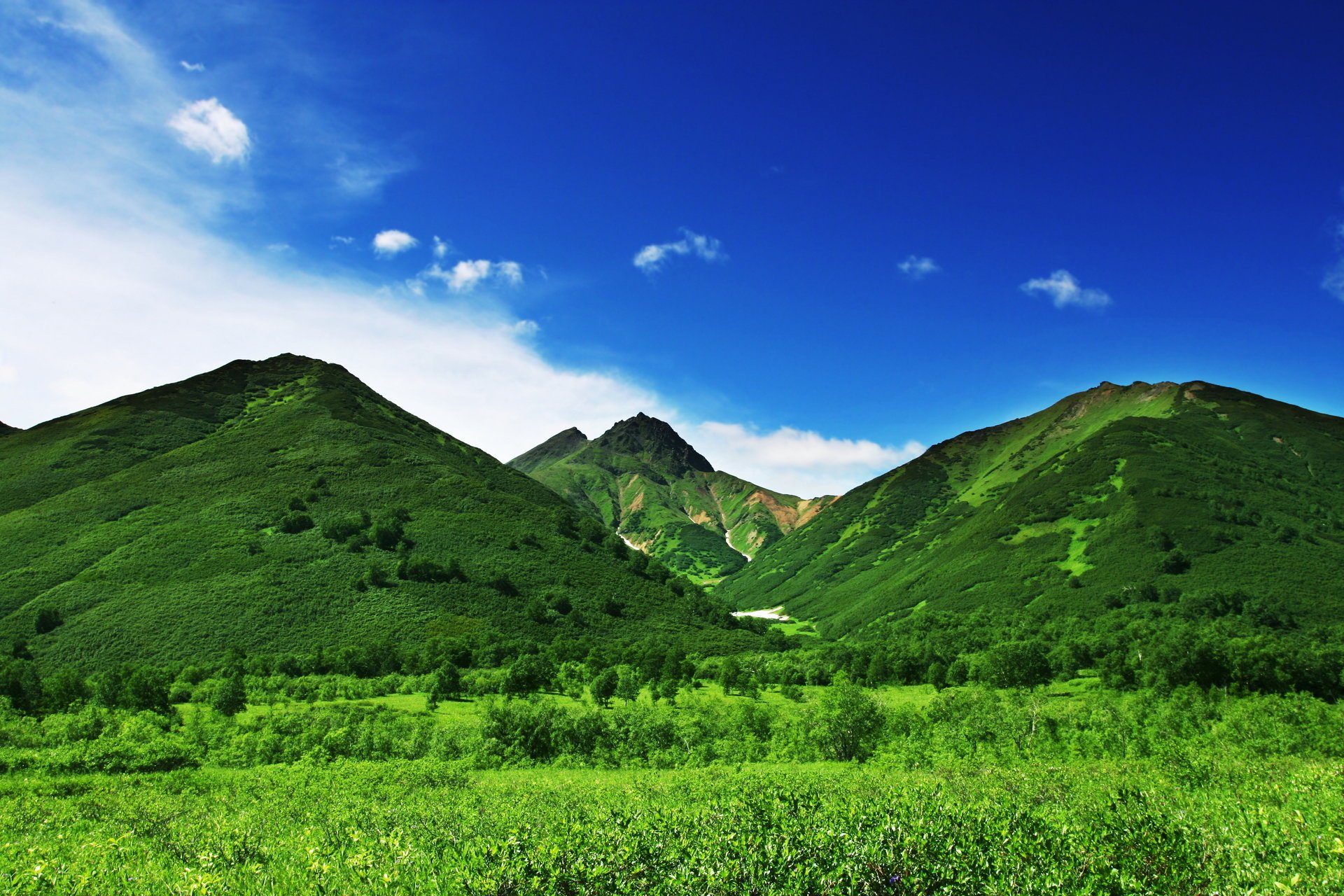 berge natur grün gras bäume himmel