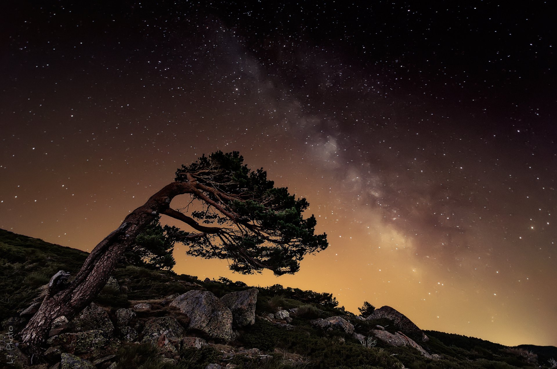 nacht sterne milchstraße felsen baum steine