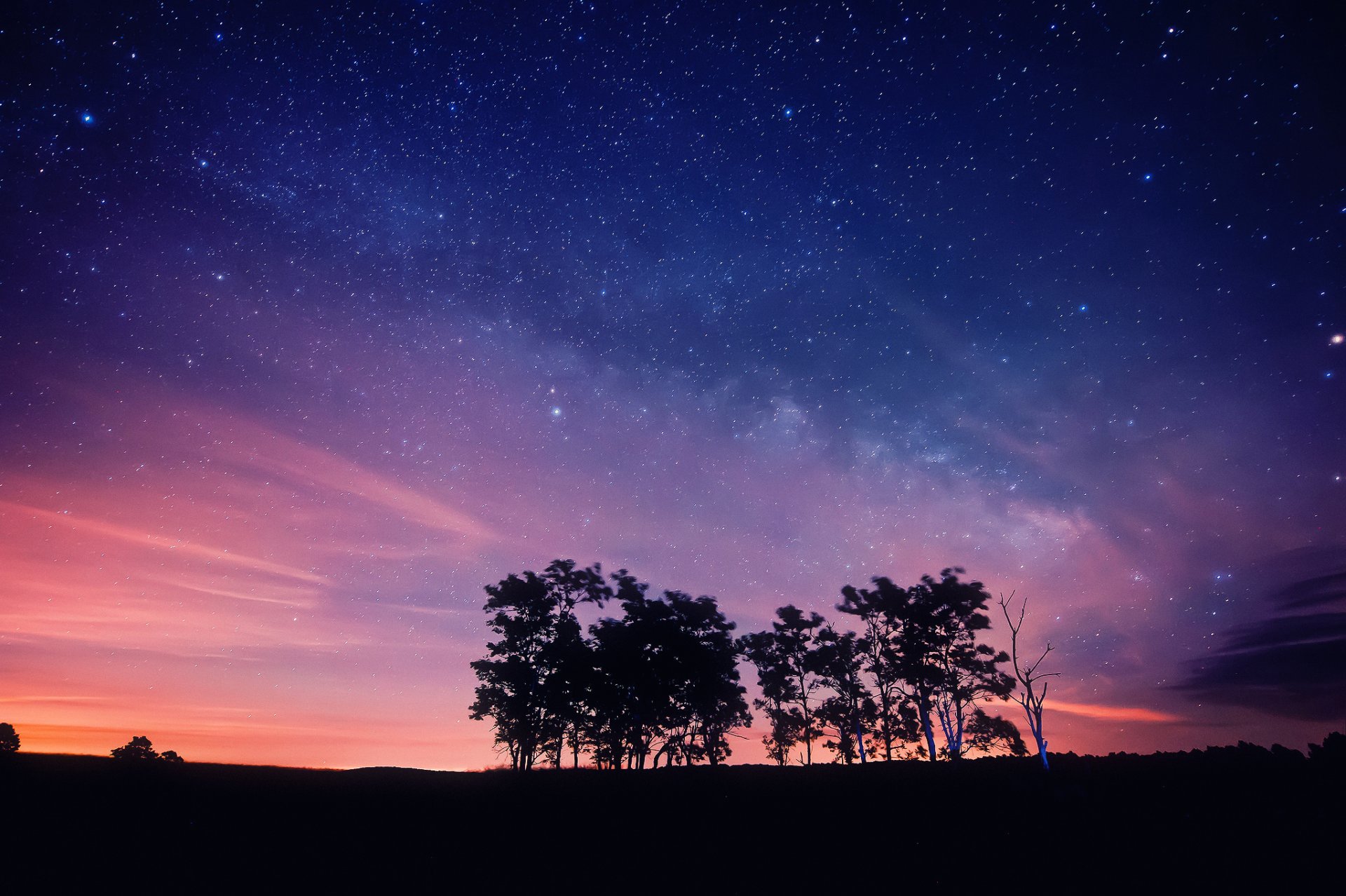 nuit ciel étoiles arbres silhouettes