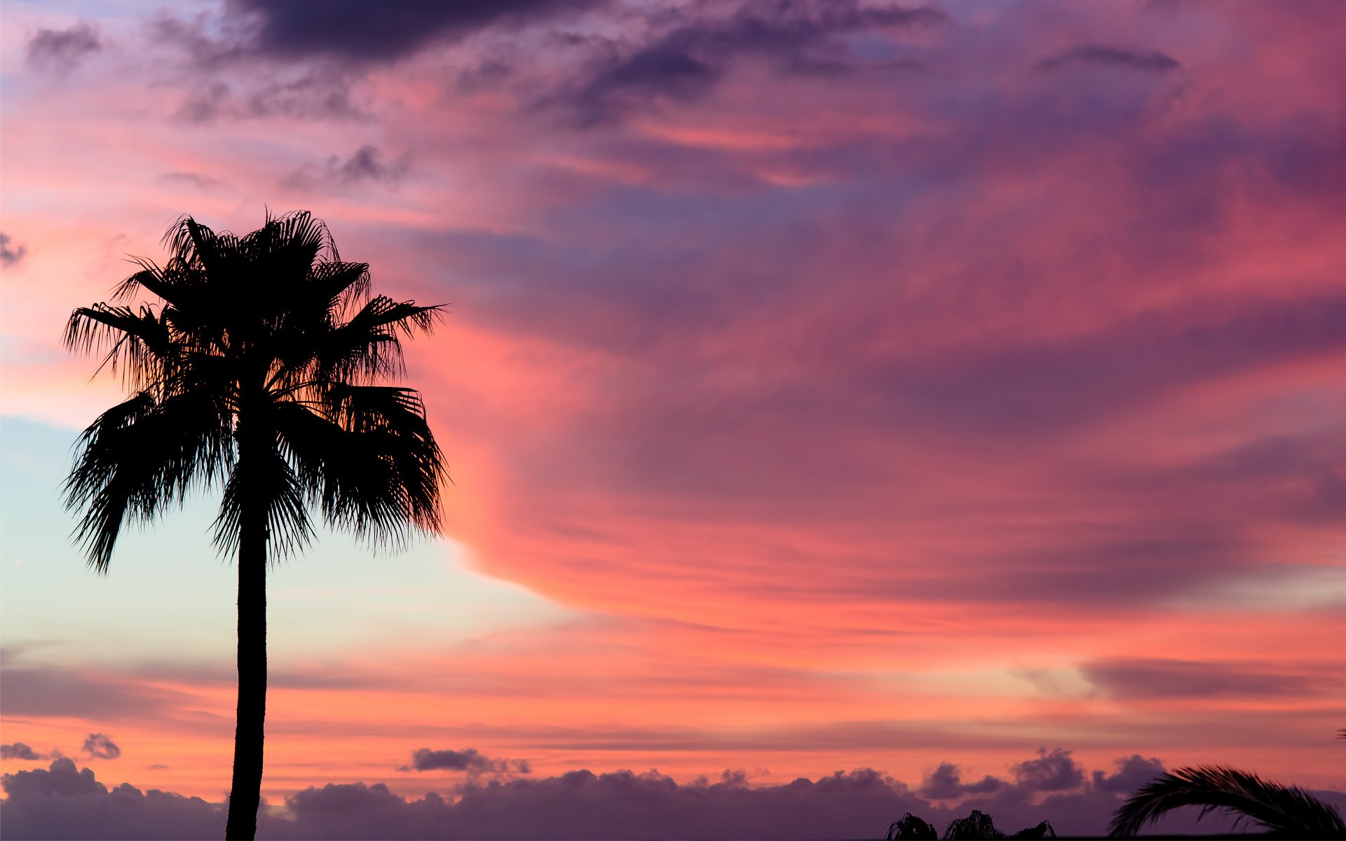 tramonto tenerife vernice cielo palma nuvole rosa