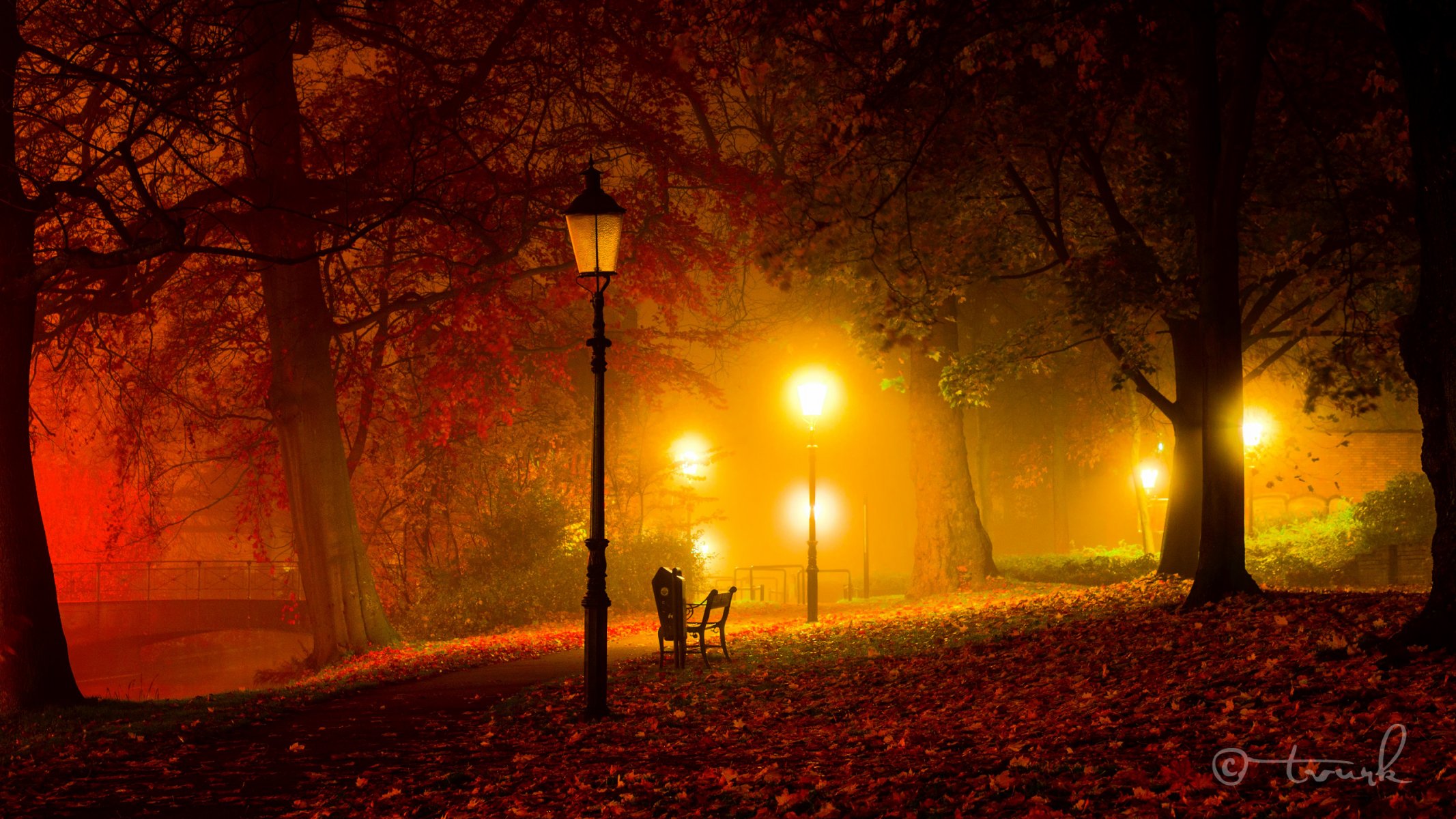 night autumn park lamps light twilight bridge bench tree