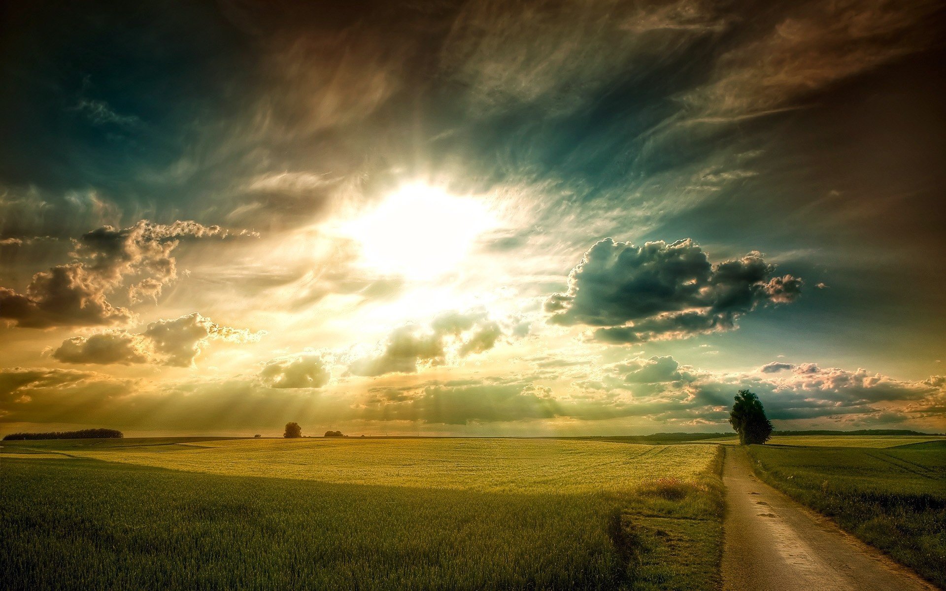 ebene feld gras straße baum himmel wolken sonne strahlen licht dämmerung sonnenuntergang