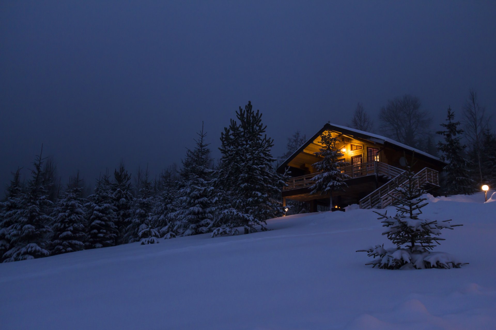 casa foresta neve casa nella foresta inverno capodanno cottage capanna albero di natale cabina albero alberi casa inverno notte natura russia viaggi