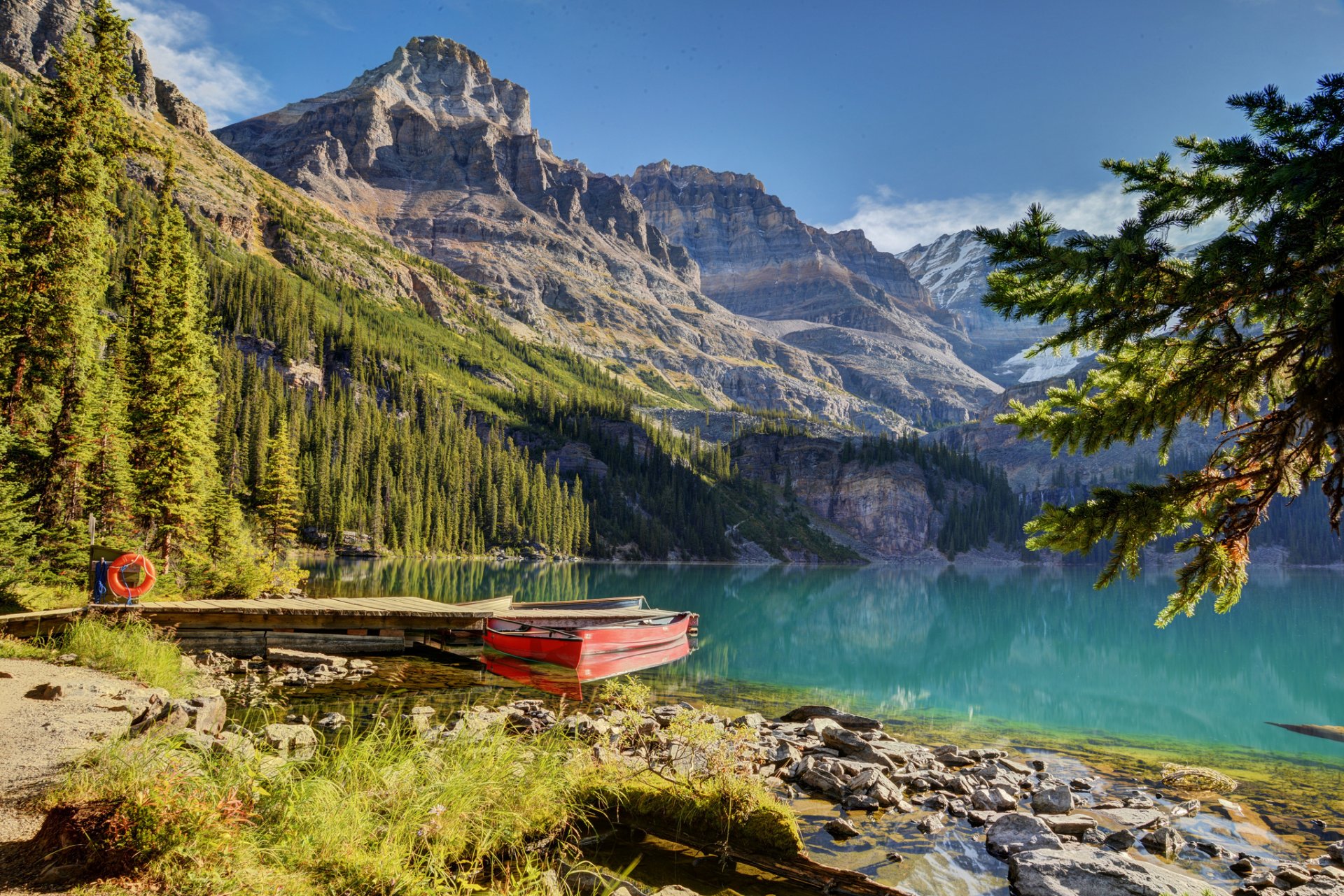 lac hara parc national de yoho canada lac quai bateau forêt épinette montagne