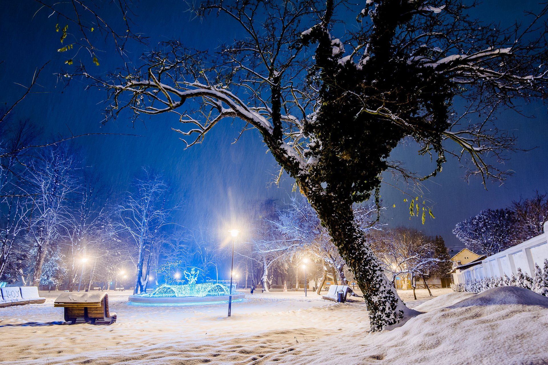 park winter schnee baum licht bänke bänke bäume stadt abend