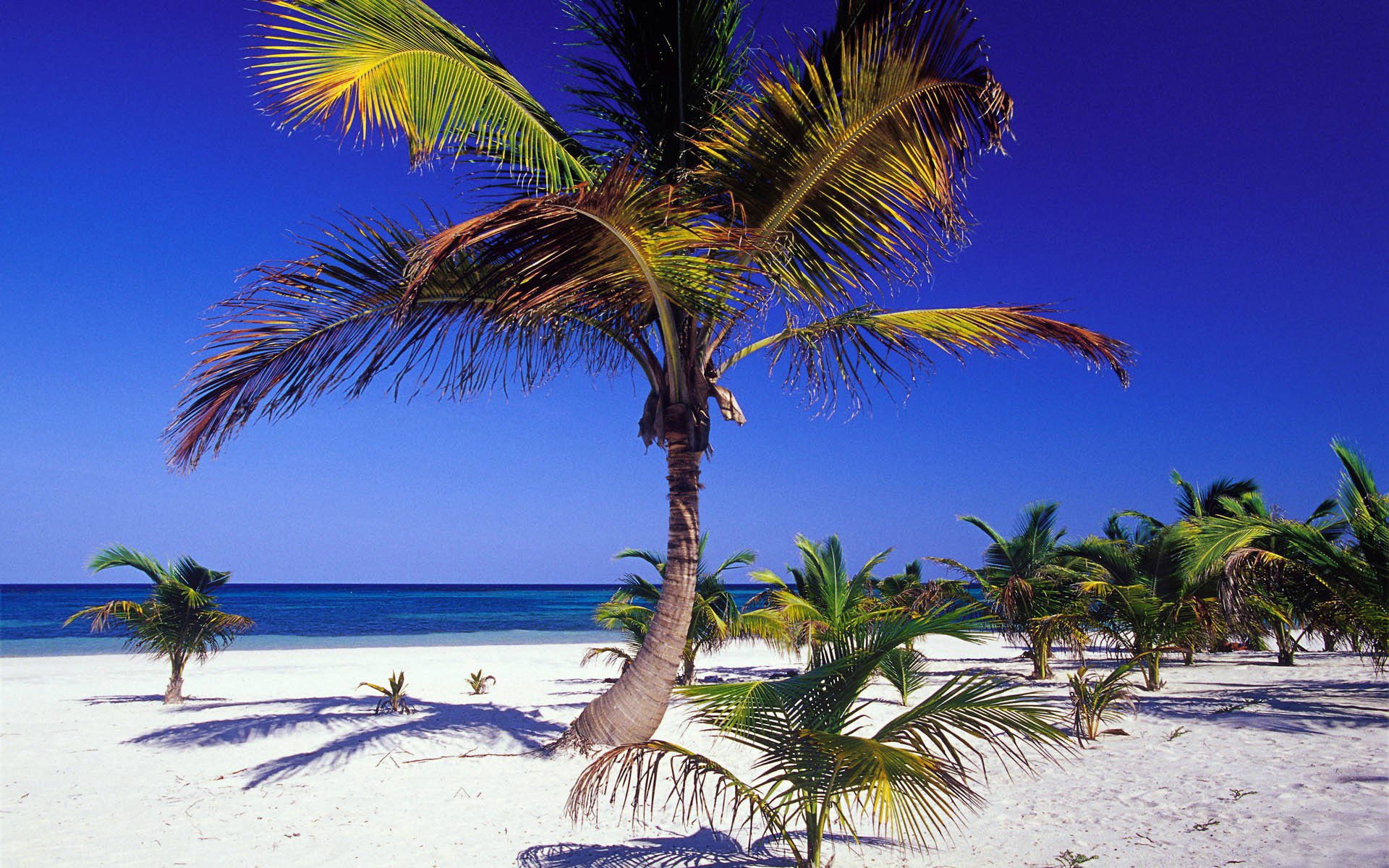 côte côte sable dara été océan horizon bleu propre ciel paradis