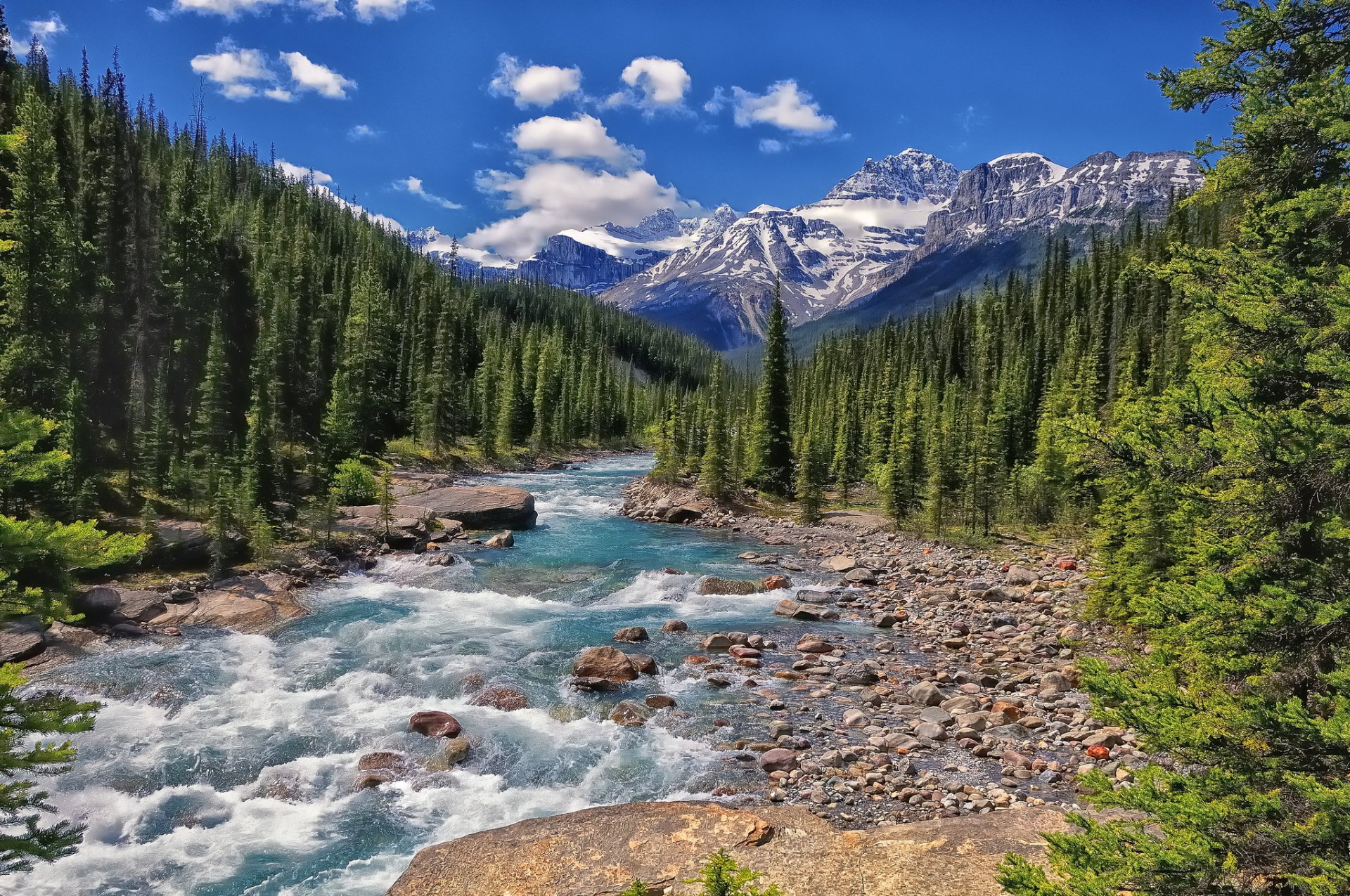 mistaya river banff national park alberta kanada fluss berge wald