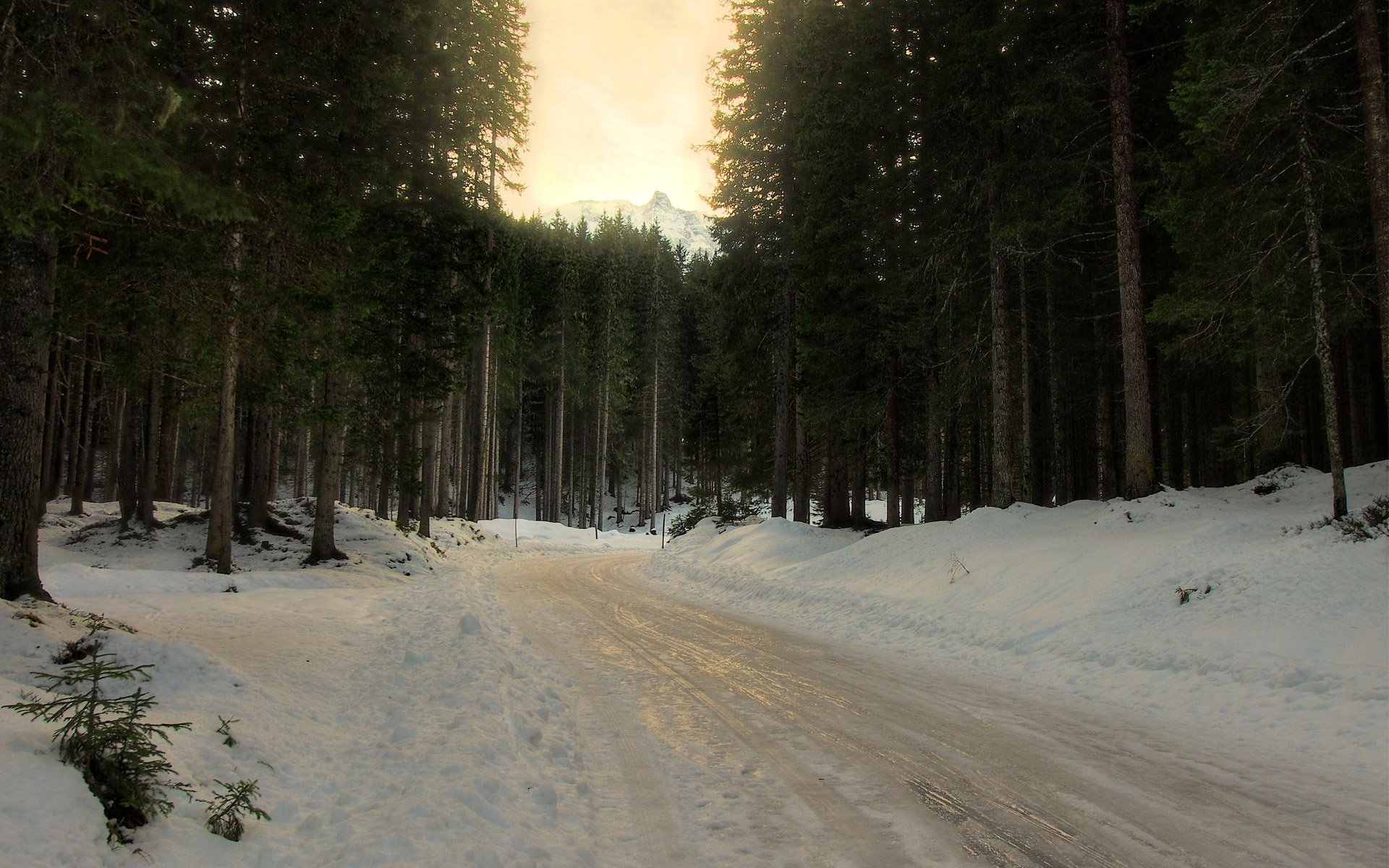 carretera nieve invierno bosque árboles coníferas abeto giro aguanieve