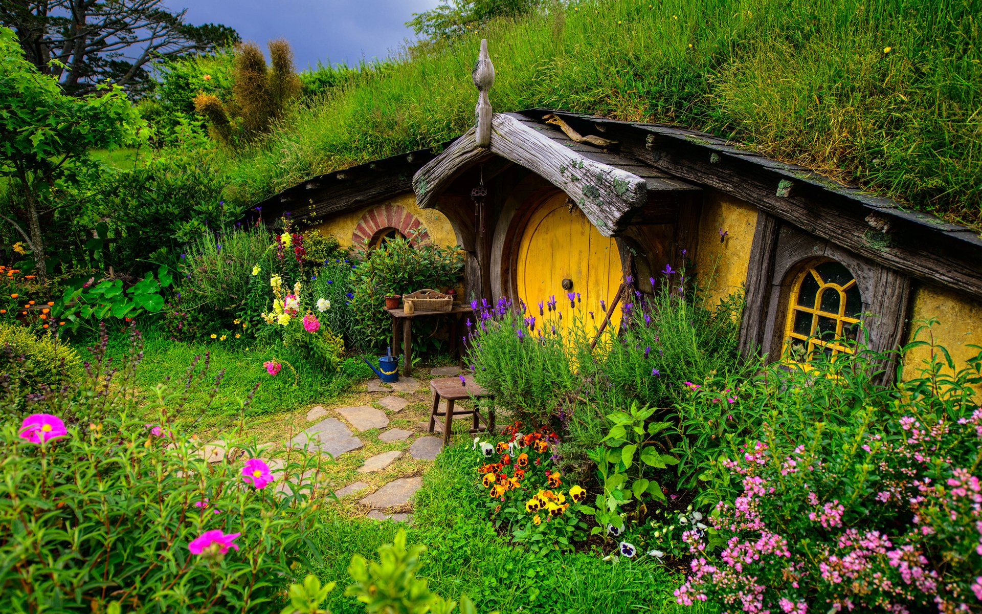 madriguera comarca señor de los anillos nueva zelanda colina vegetación hierba flores casa