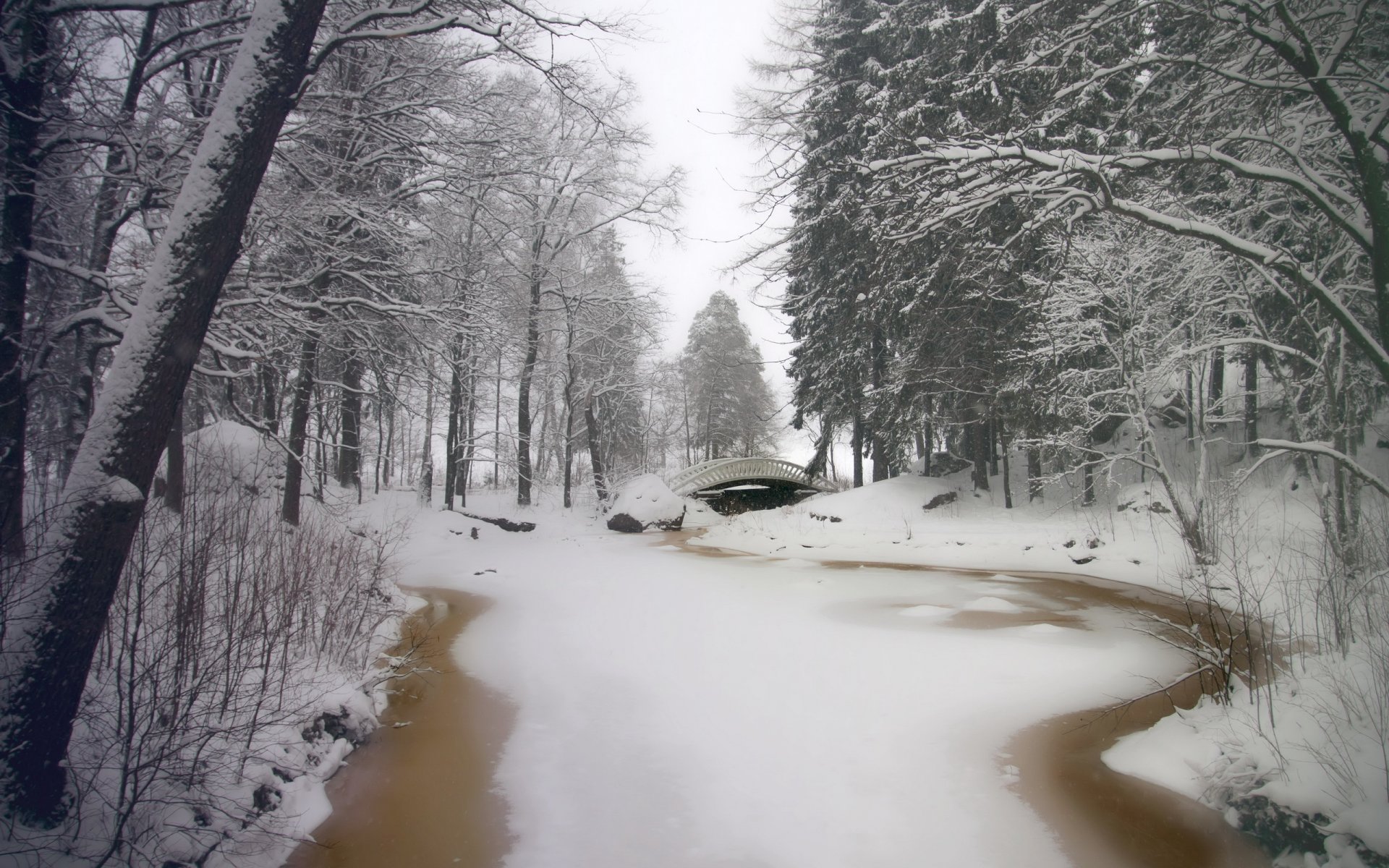 winter park river bridge tree snow