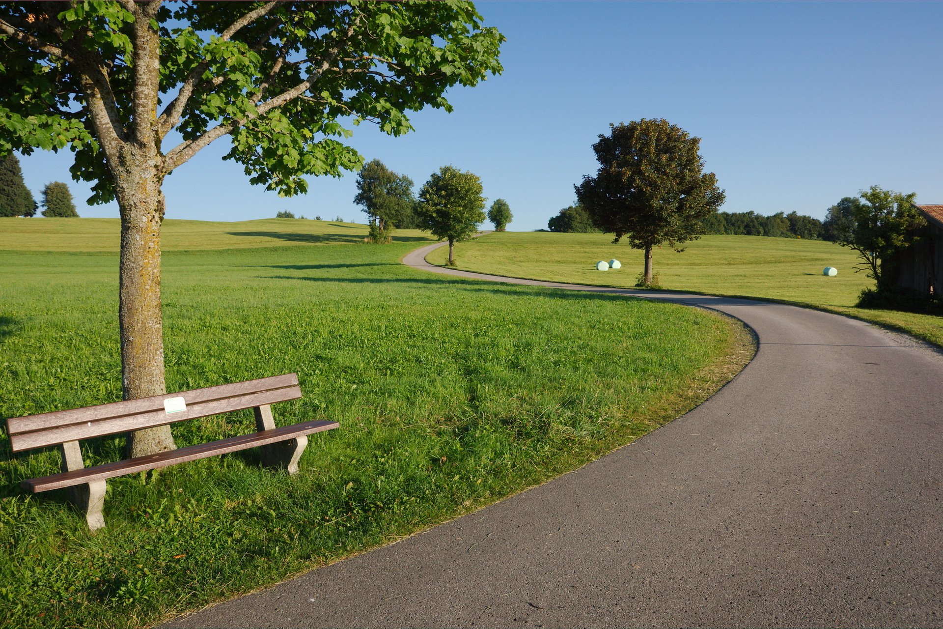 estate strada alberi panchina