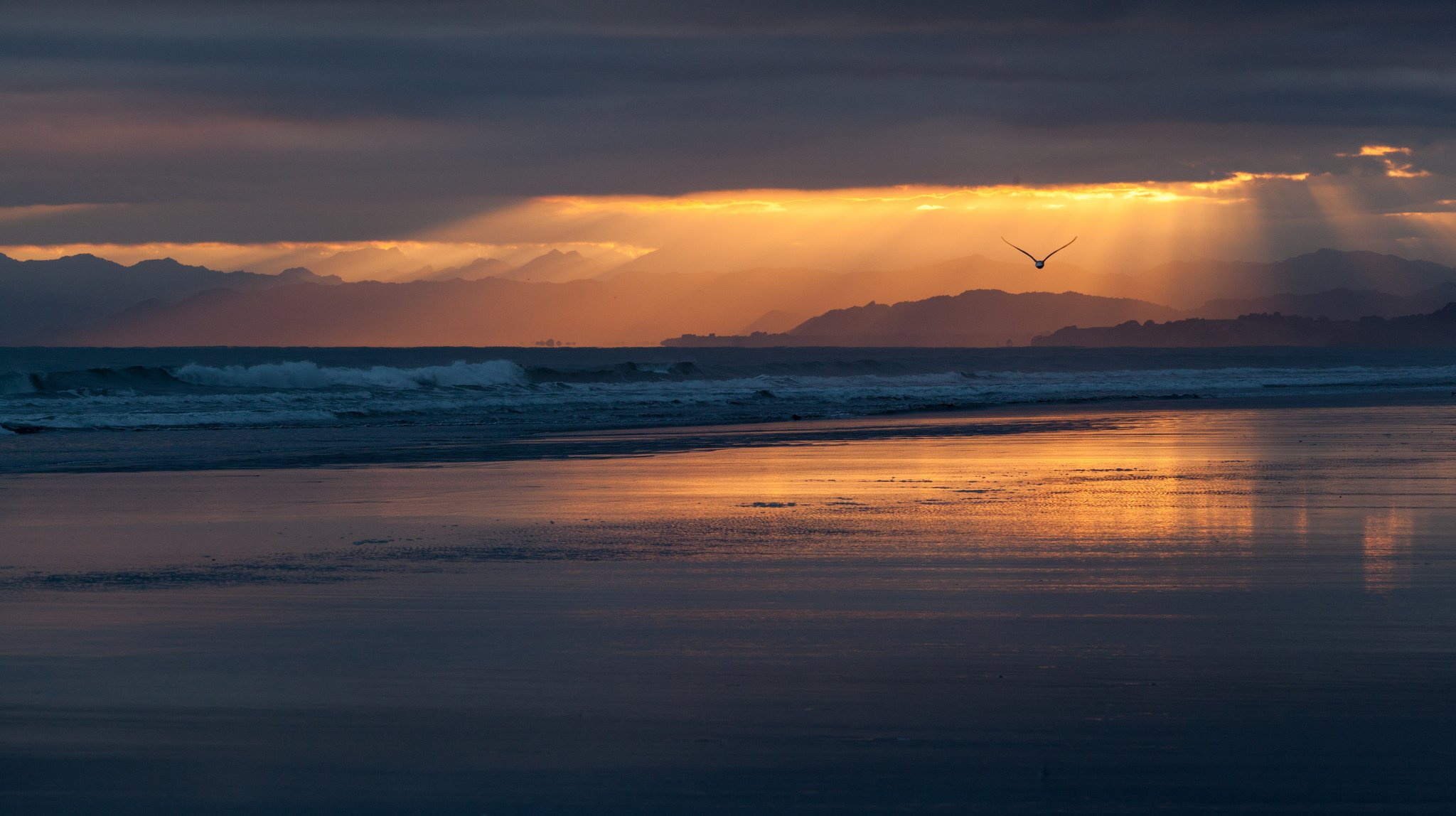 nueva zelanda costa playa costa mar océano tarde puesta de sol naranja cielo nubes pájaro vuelo silueta