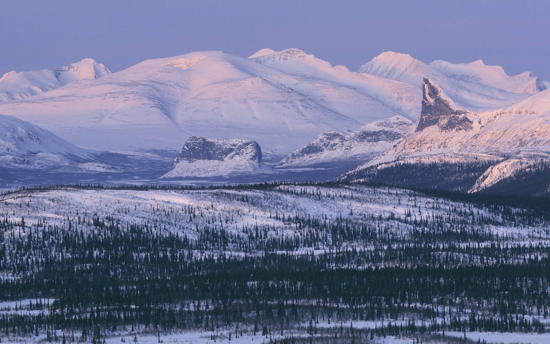 arek national park lapland sweden mountain