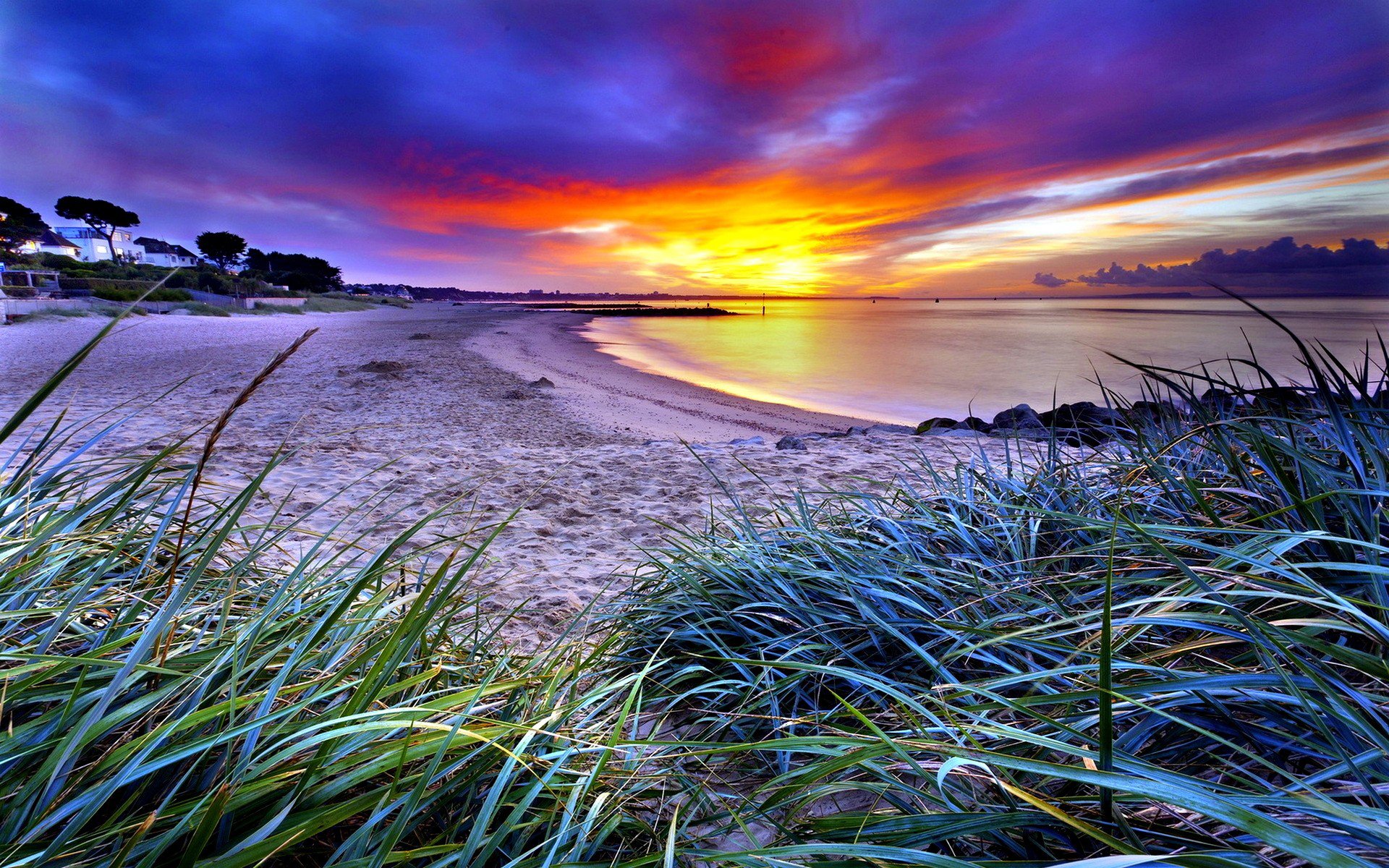 costa sabbia costa spiaggia erba orizzonte cielo nuvole alba tramonto