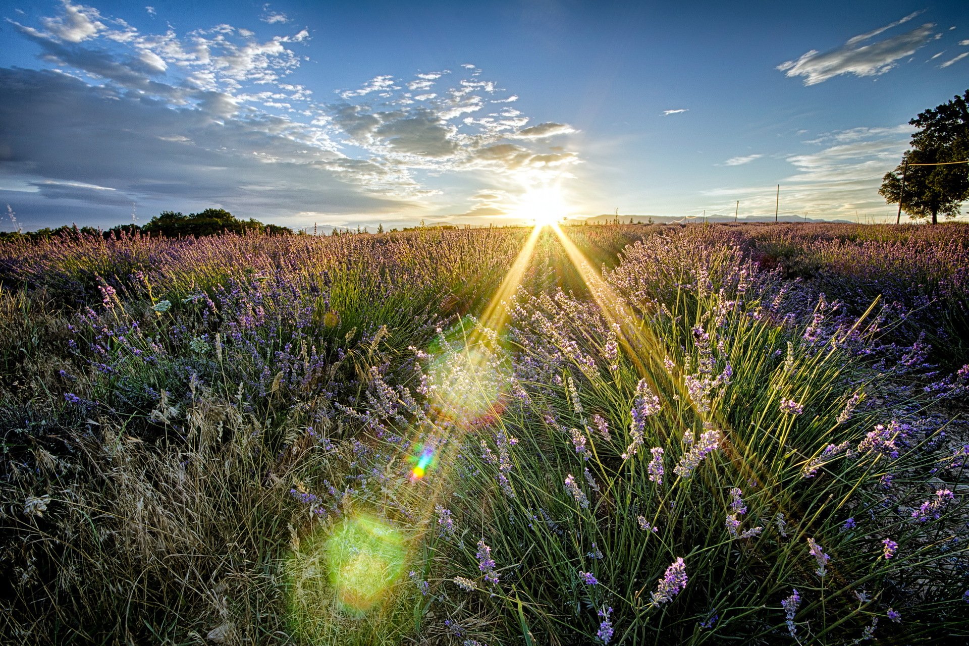 pole lato natura krajobraz światło