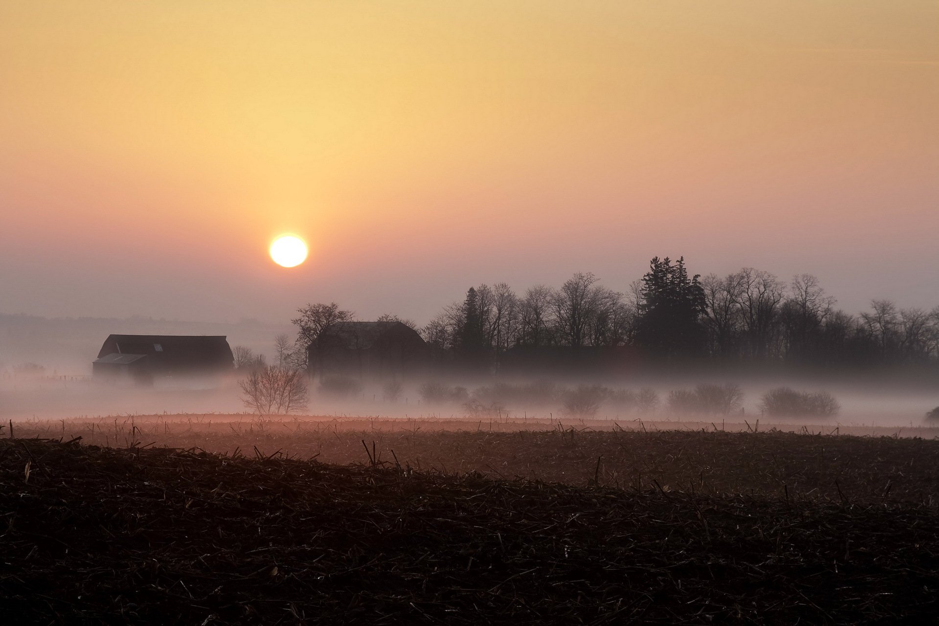 sonnenuntergang feld nebel zuhause landschaft