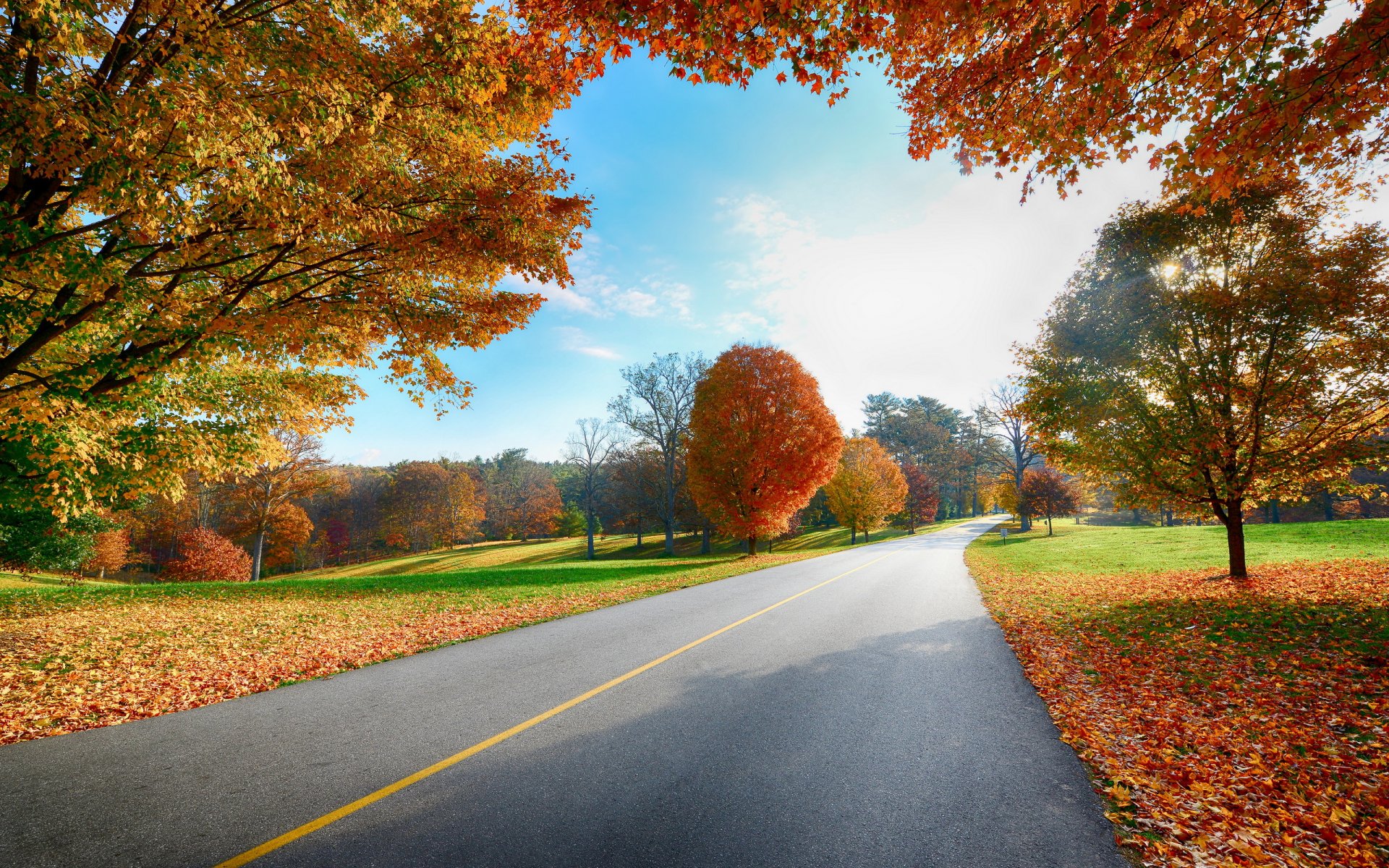 straße herbst landschaft