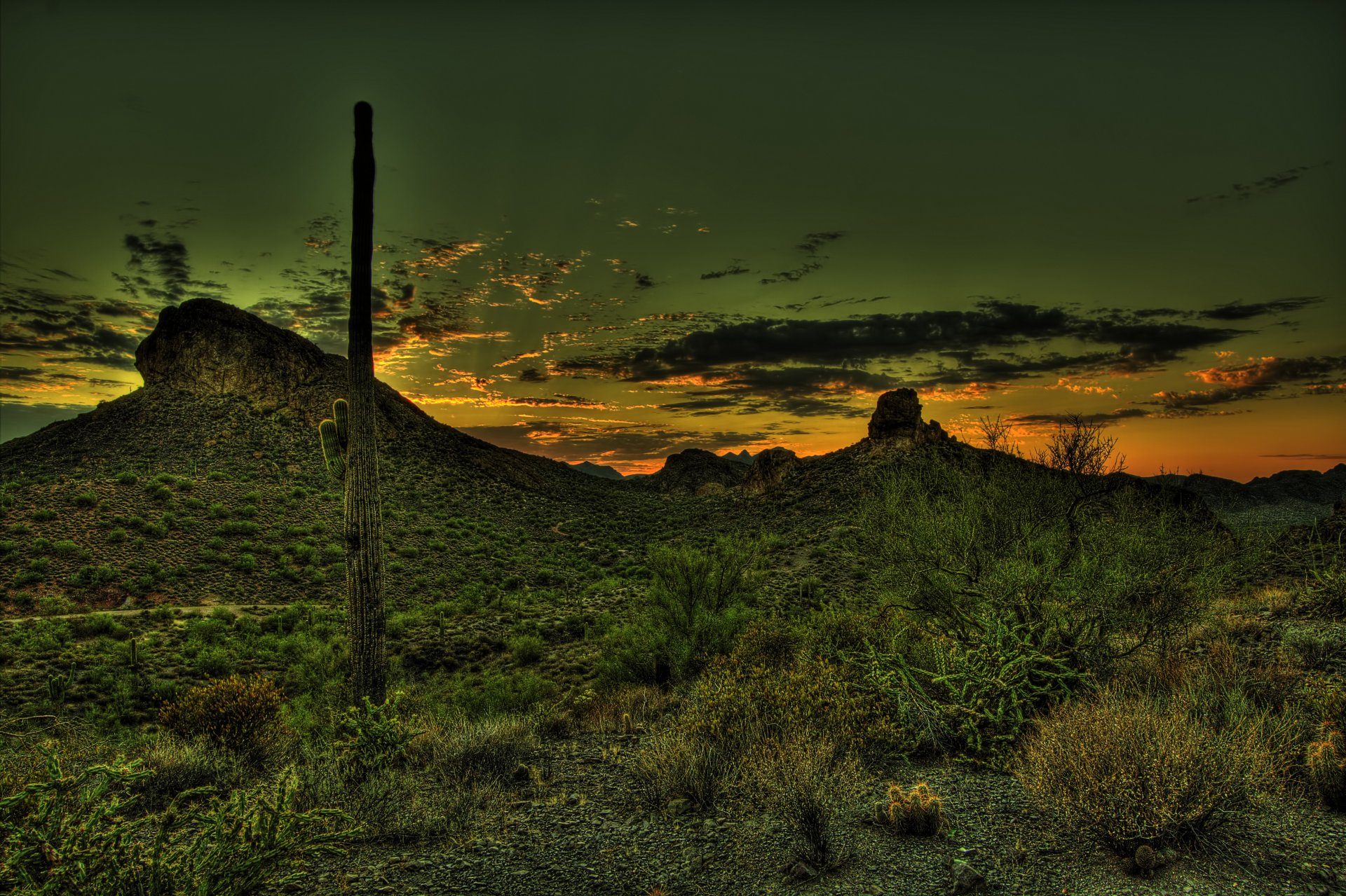 puesta de sol montañas cactus méxico desierto hdr