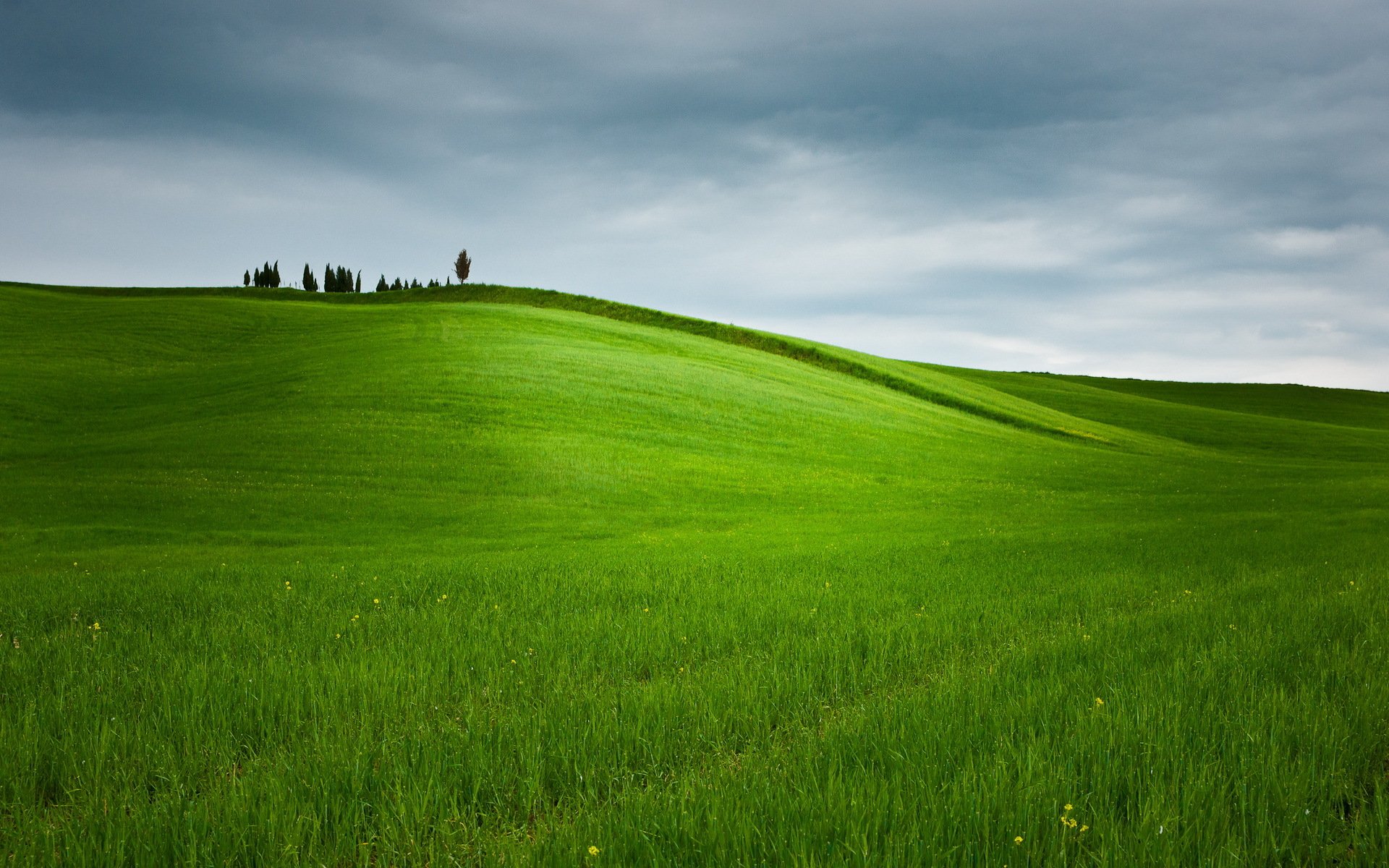 campo cielo natura paesaggio