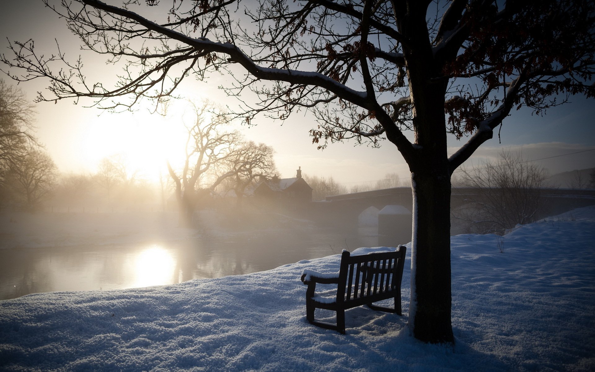 morning winter river bench landscape