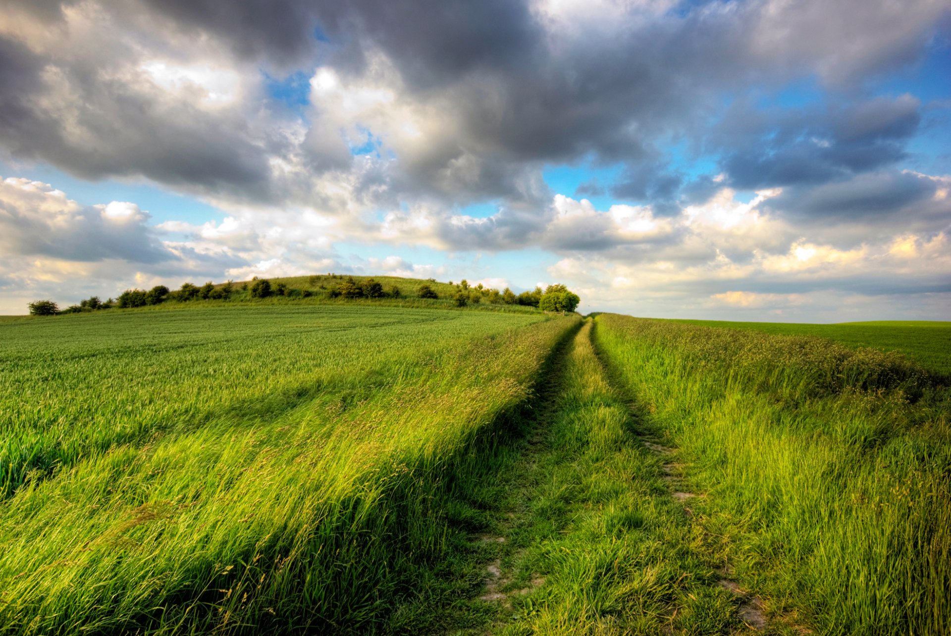 camino pista campo hierbas vegetación llanura amplitud distancia verano alegría día sol cielo nubes