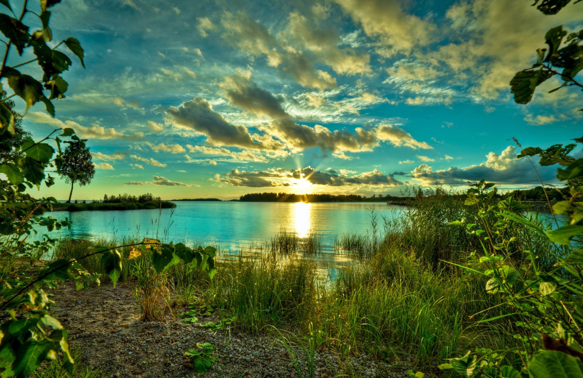 lago verde erba alberi natura cielo nuvole alba