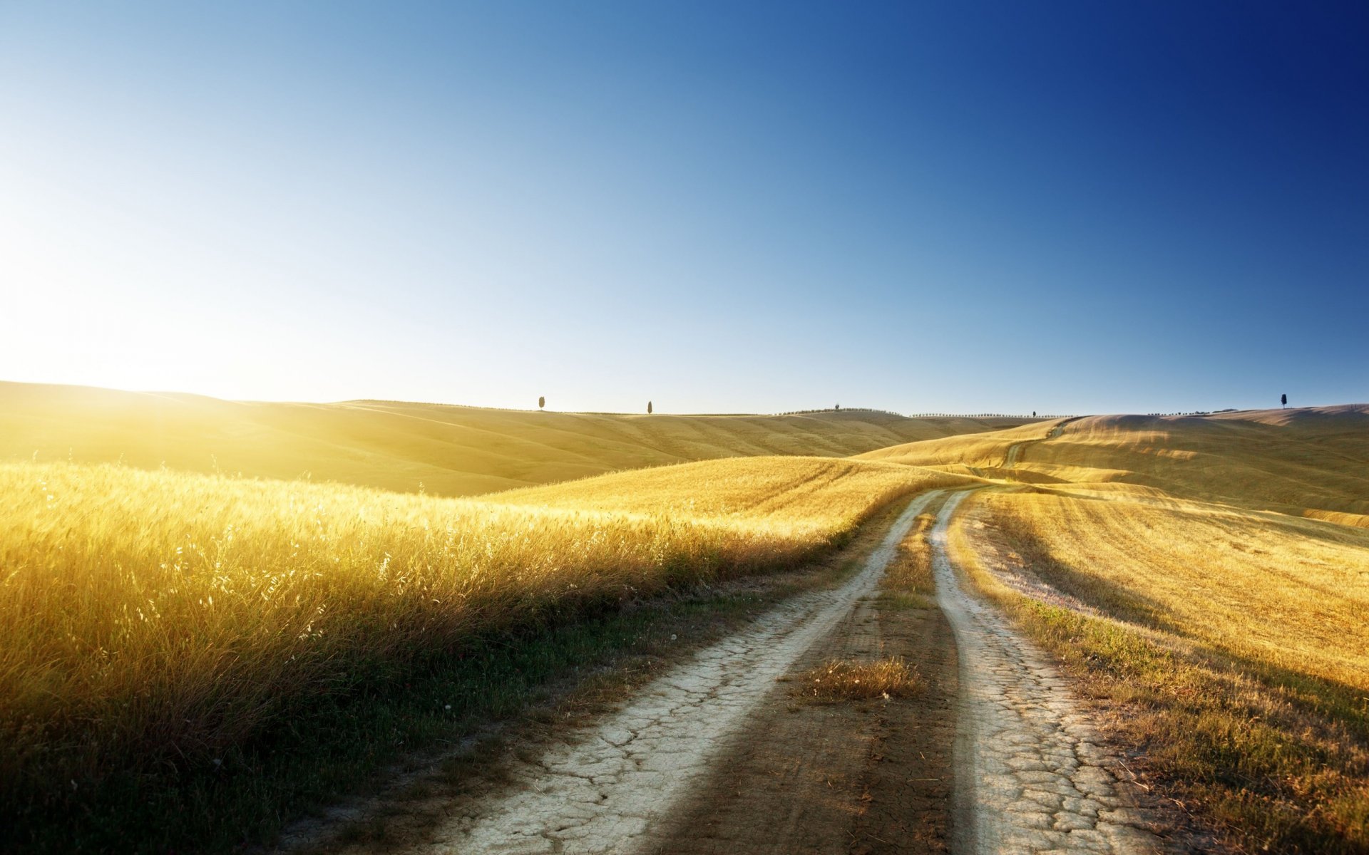 paesaggi natura strada strade cielo erba sole mattina luce distese libertà bei posti alberi grano albero bellissimi sfondi sfondi widescreen sfondi widescreen sfondi hd blu estate caldo colline orizzonte tracce solco ombra ombre