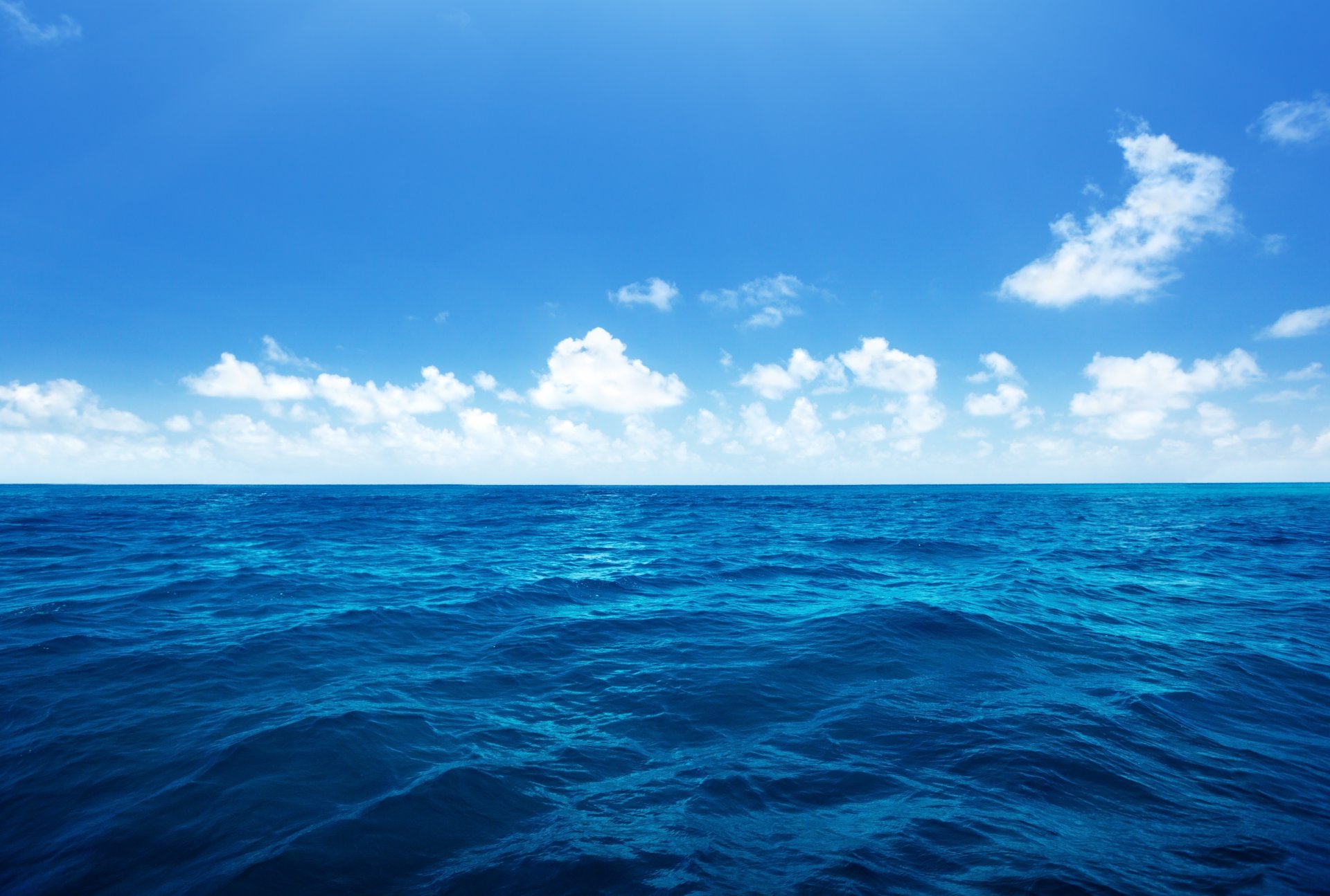 oceano mare palme nuvole cielo natura onde