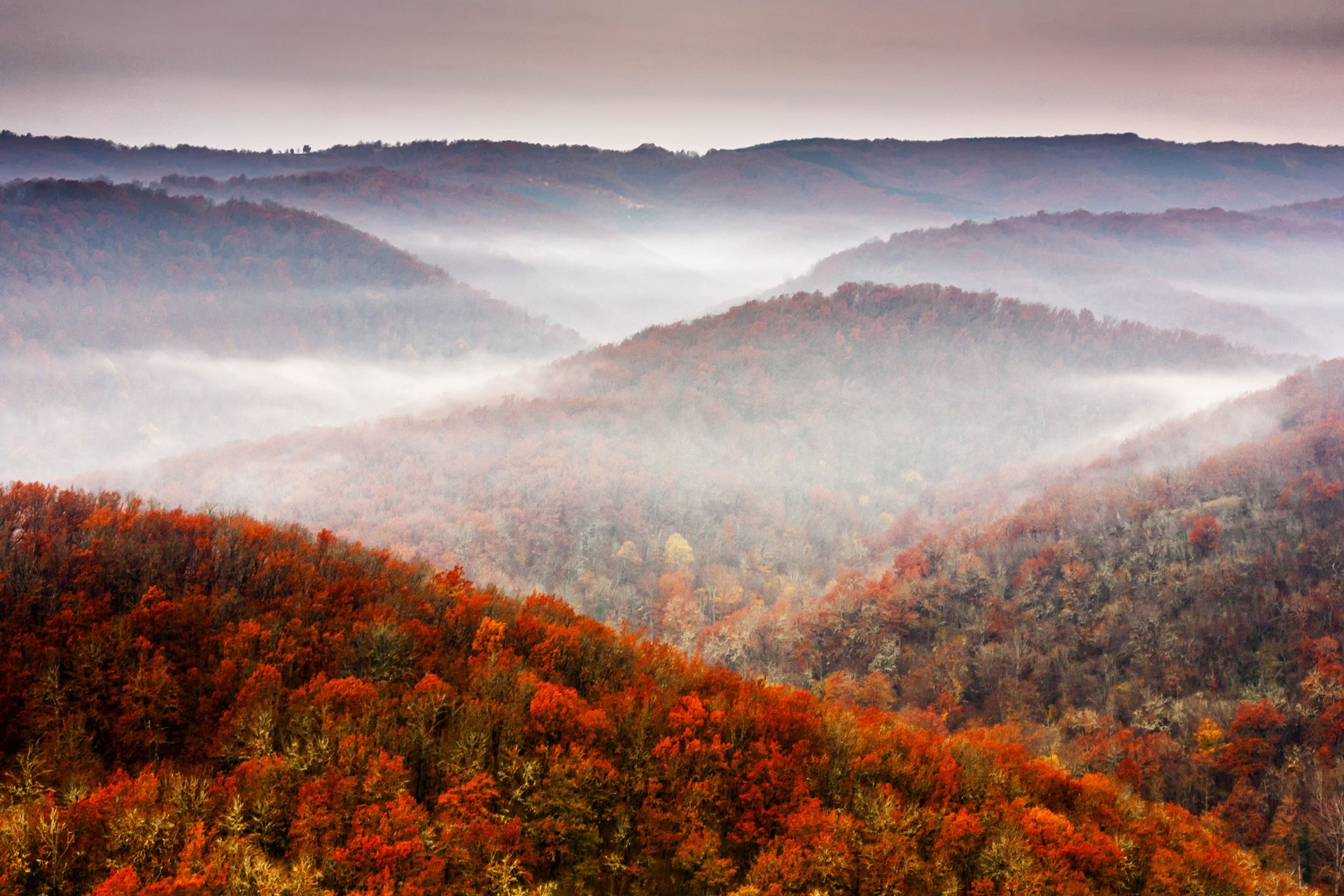 nature automne montagnes arbre ciel feuillage automne forêt