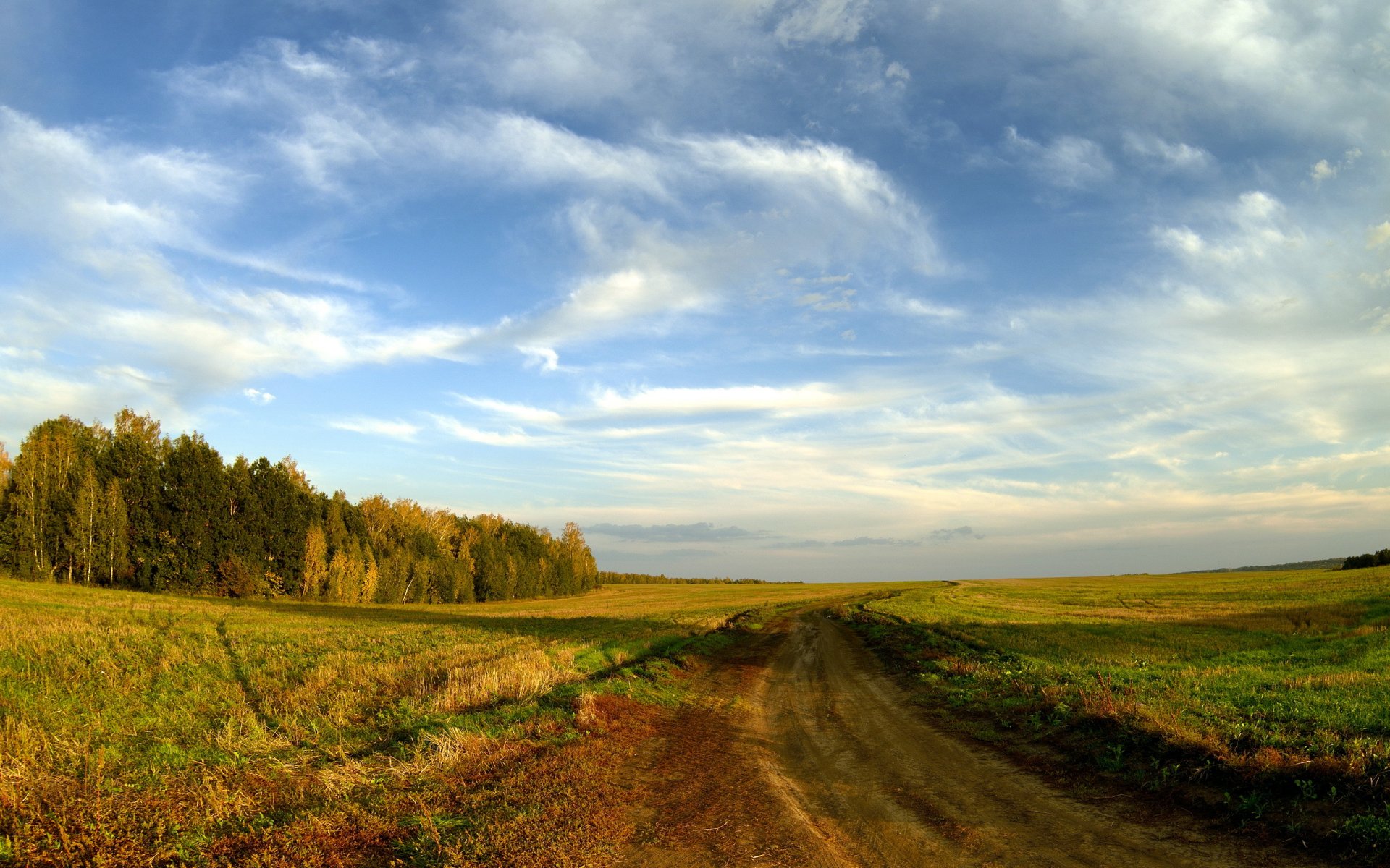 поле дорога осень пейзаж