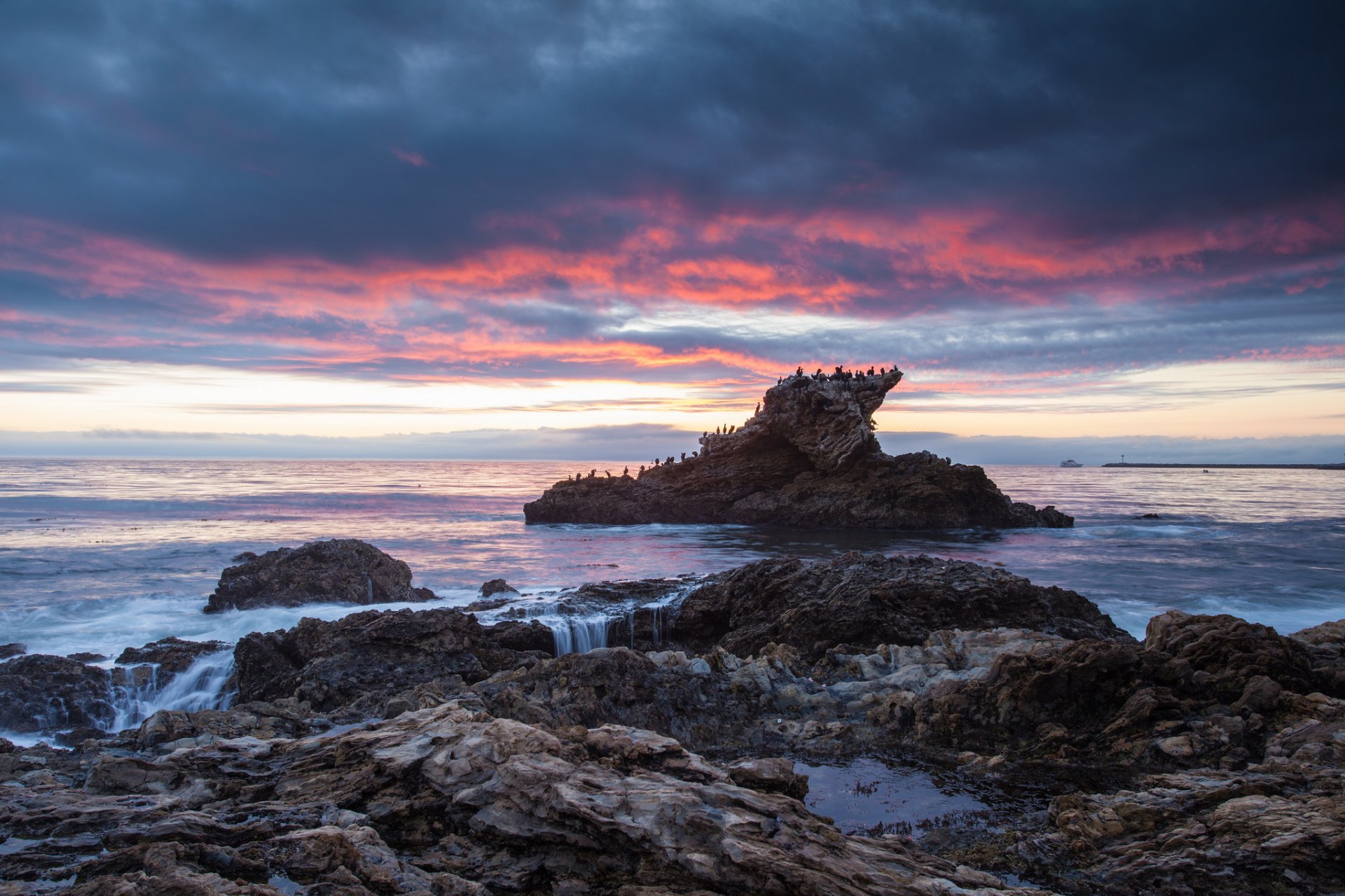 mar océano costa piedras roca pájaros tarde puesta de sol cielo nubes nubes