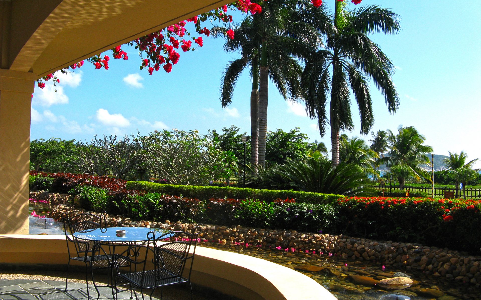 palmen blumen schöne veranda erholung im hotel