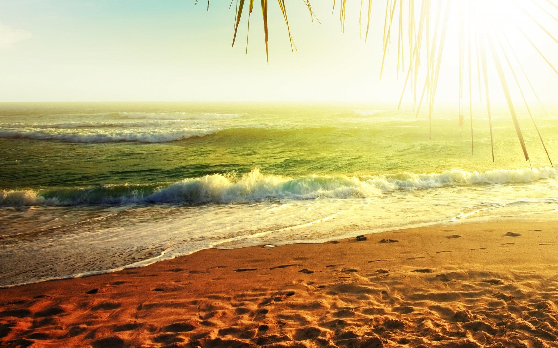 paysage nature mer océan eau sable côte côte palmiers palmier soleil fonds d écran widescreen fonds d écran widescreen plage