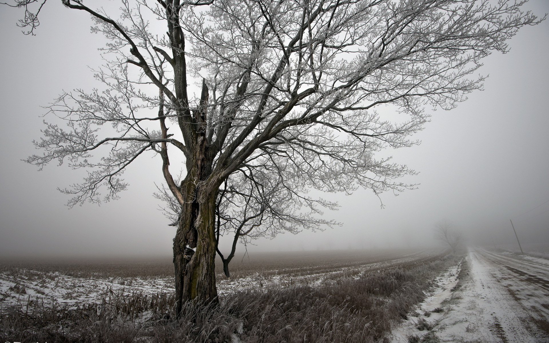 straße baum winter landschaft