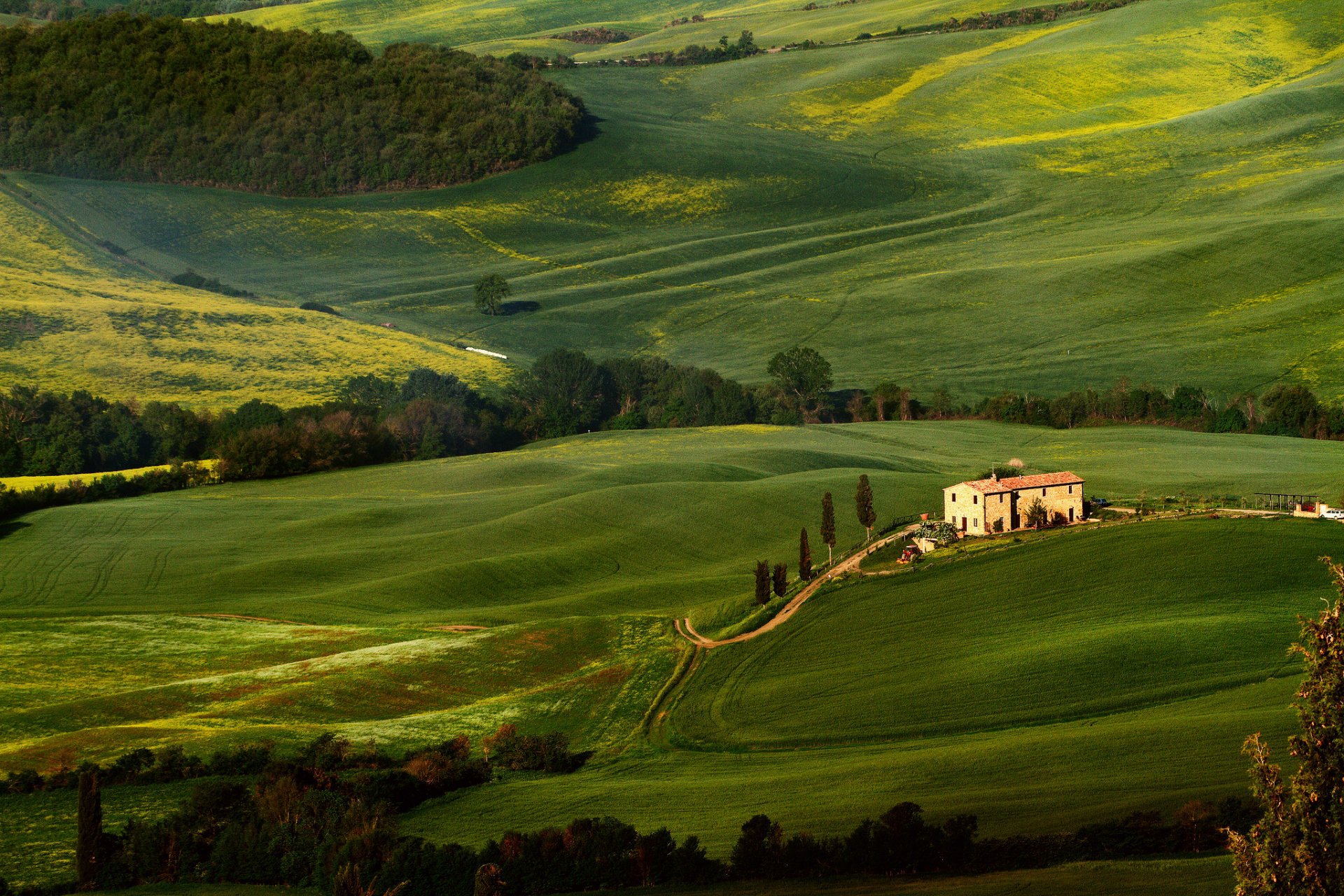 toscana campi alberi verde