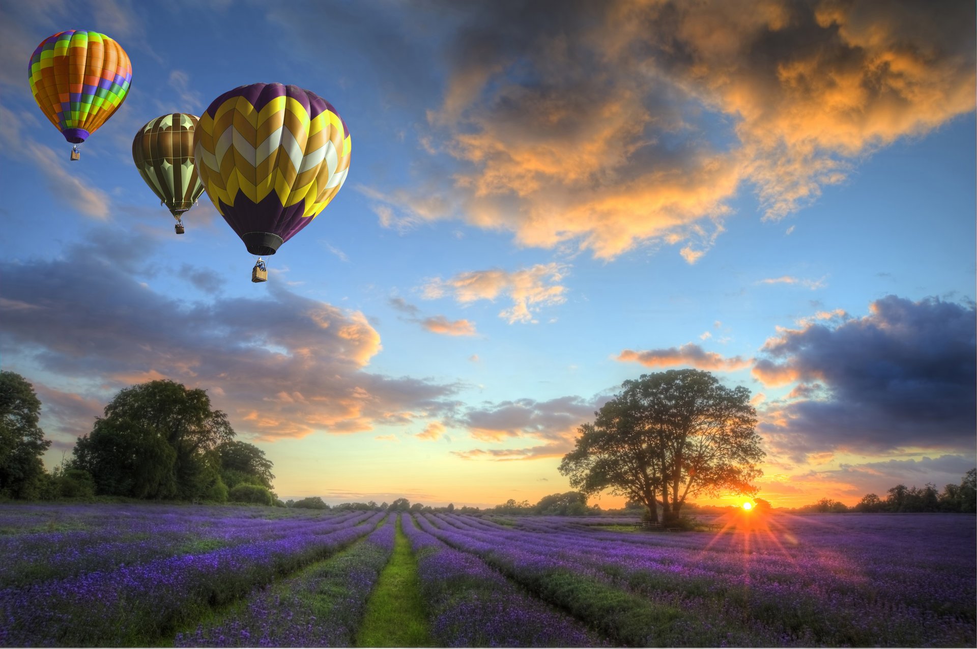 nature ciel nuages coucher de soleil paysage boules champ fleurs