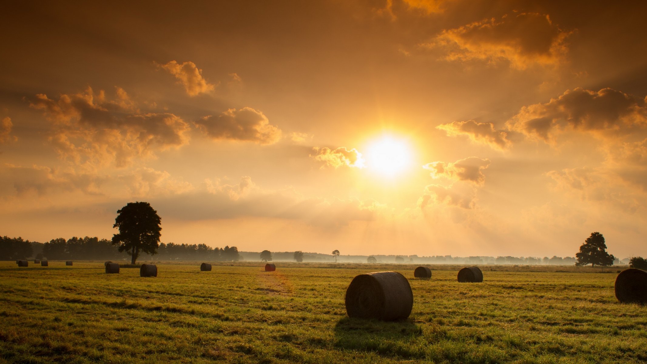 coucher de soleil champ foin nature paysage