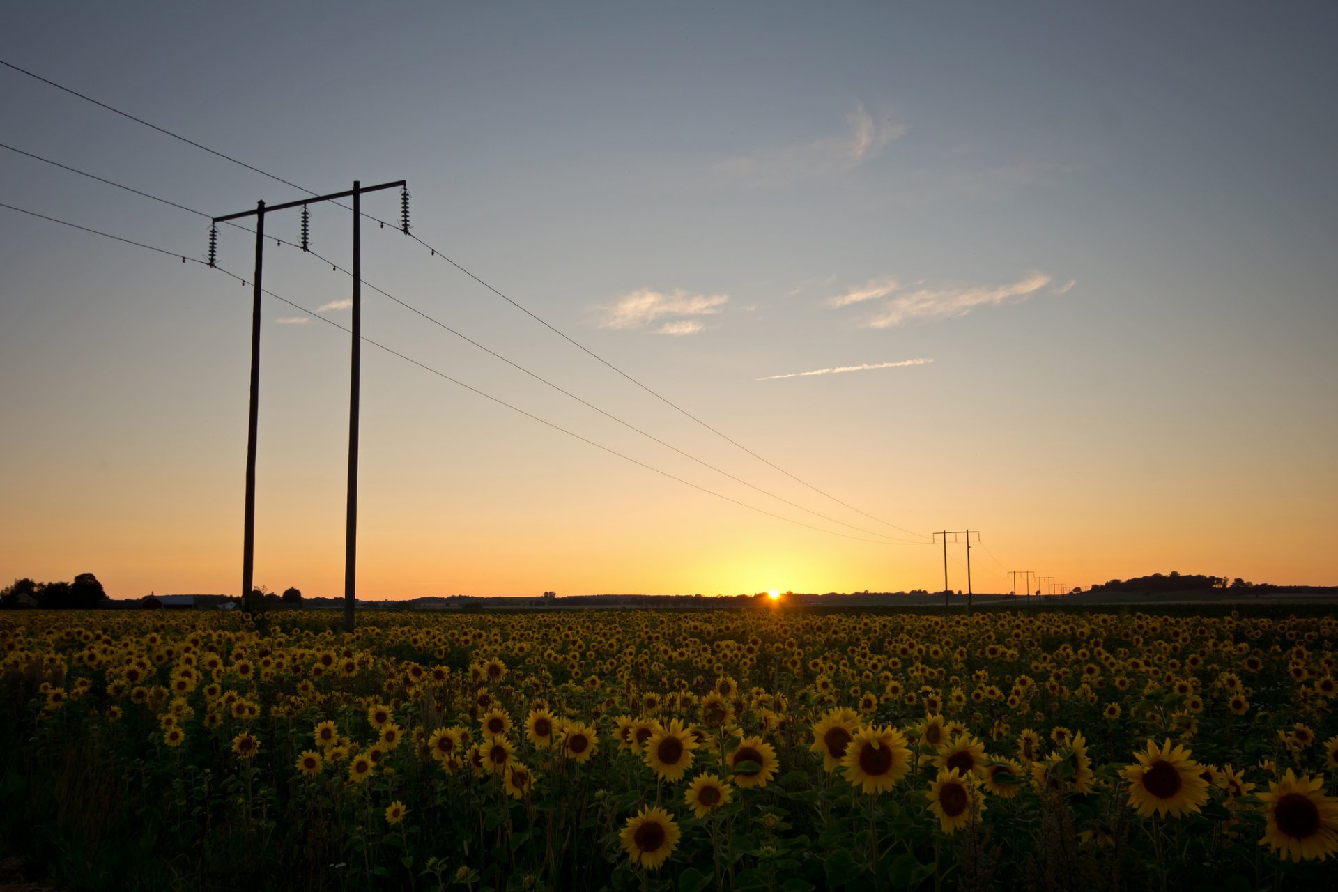 schweden natur feld sonnenblumen drähte stützen abend sonnenuntergang sonne himmel wolken